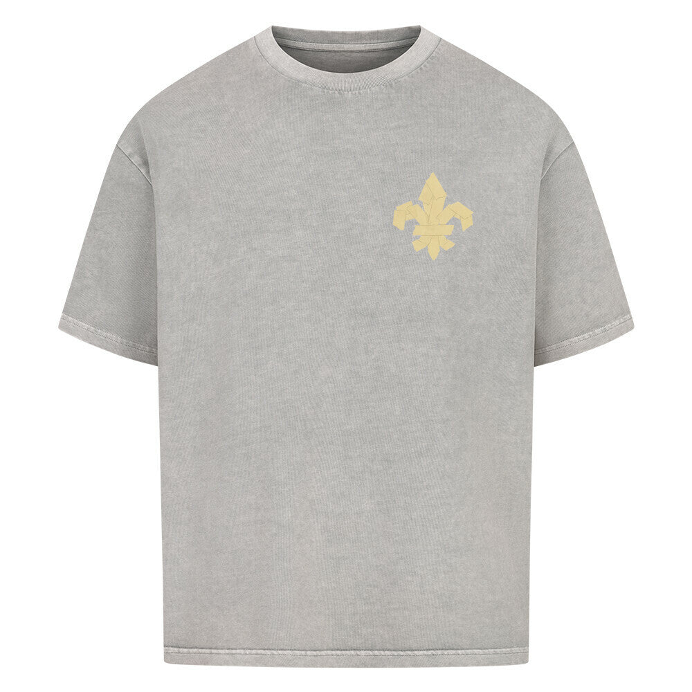 Image for color: washed grey