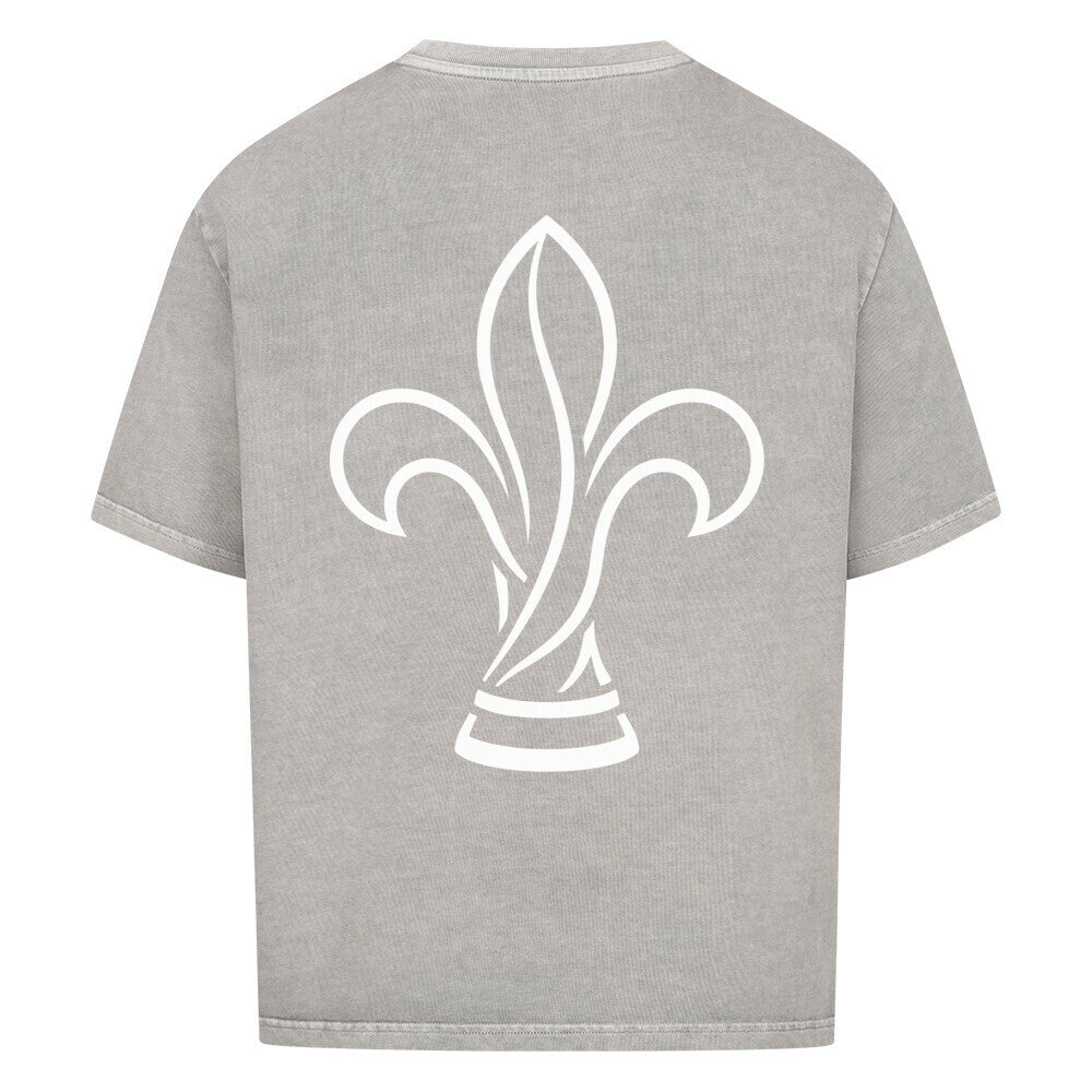Image for color: washed grey